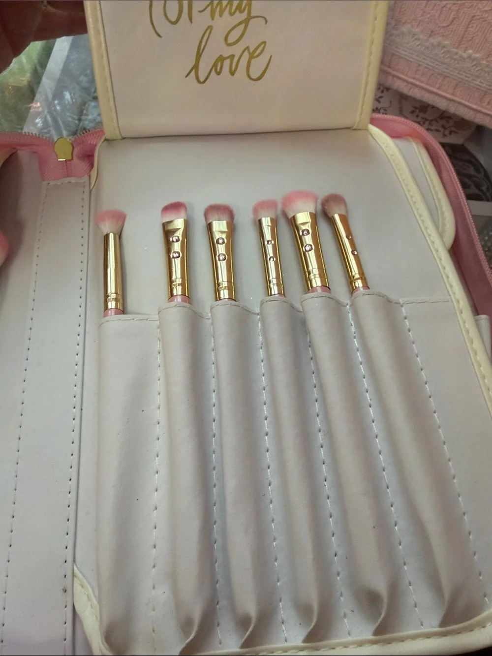 SLMISSGLAM Glam Brush Book - Pink Makeup Brush Organizer with 24 brushes